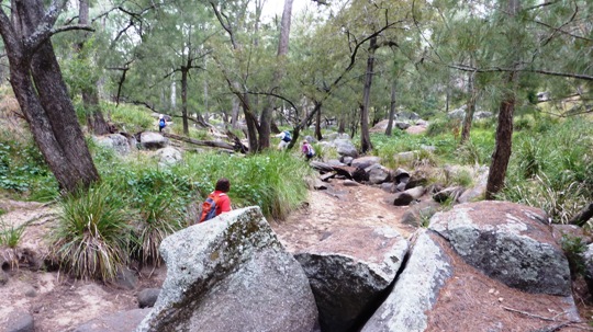 Moore Creek Rock Scramble